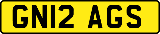 GN12AGS
