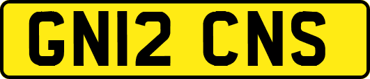 GN12CNS
