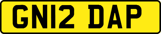 GN12DAP