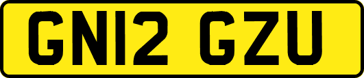GN12GZU