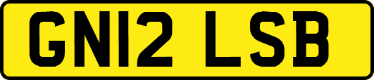 GN12LSB