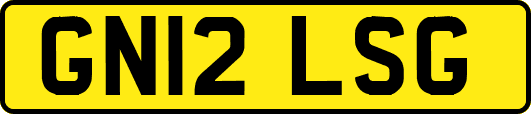 GN12LSG