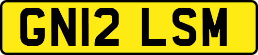 GN12LSM