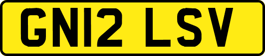 GN12LSV