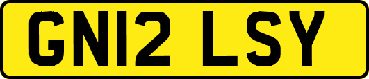 GN12LSY