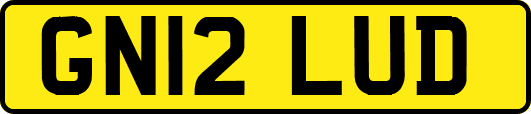 GN12LUD