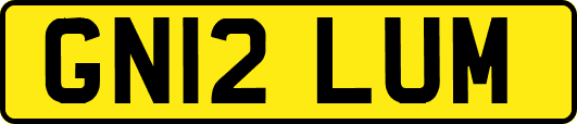 GN12LUM