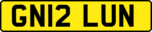 GN12LUN