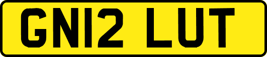 GN12LUT