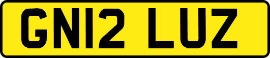 GN12LUZ