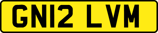 GN12LVM