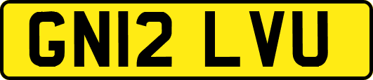 GN12LVU