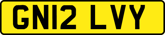 GN12LVY