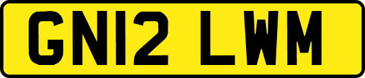 GN12LWM