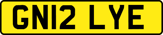 GN12LYE