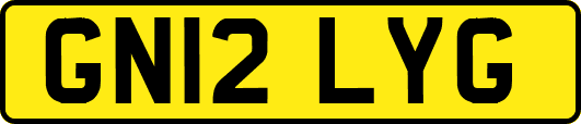 GN12LYG