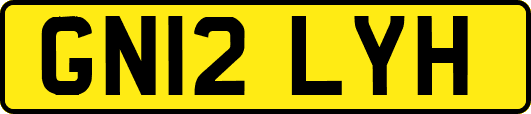 GN12LYH