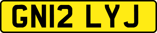 GN12LYJ