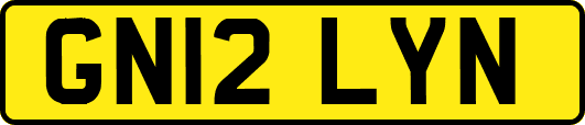 GN12LYN