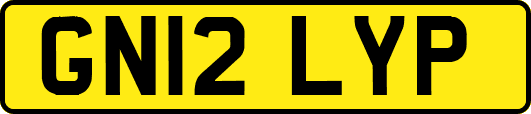 GN12LYP