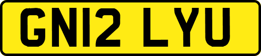 GN12LYU