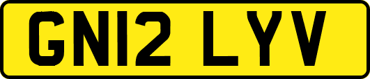 GN12LYV