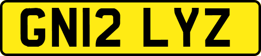 GN12LYZ
