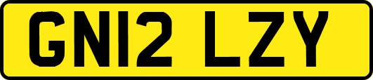 GN12LZY