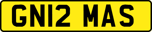 GN12MAS
