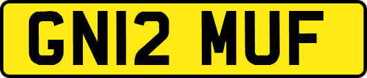 GN12MUF