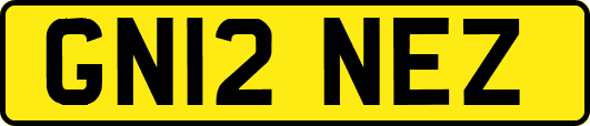 GN12NEZ