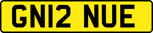 GN12NUE