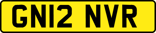GN12NVR
