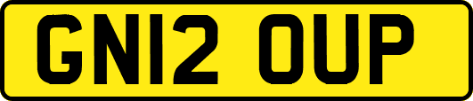 GN12OUP