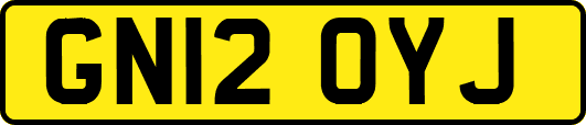 GN12OYJ
