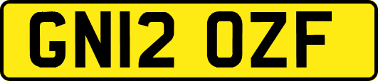 GN12OZF