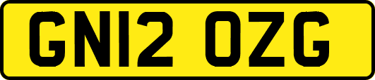 GN12OZG