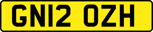 GN12OZH