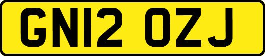 GN12OZJ