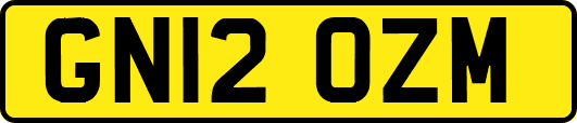 GN12OZM
