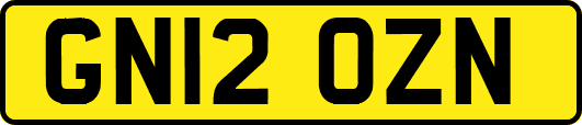 GN12OZN