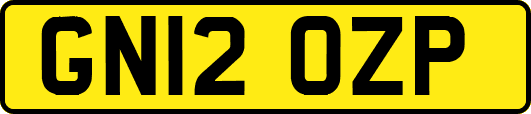GN12OZP