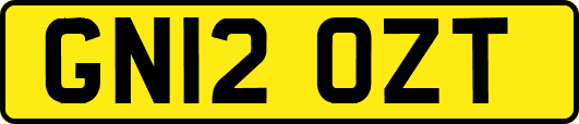 GN12OZT