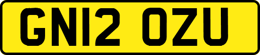 GN12OZU