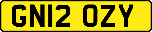GN12OZY