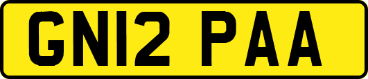 GN12PAA