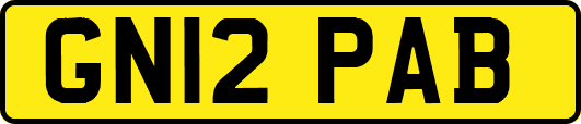 GN12PAB