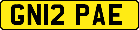 GN12PAE