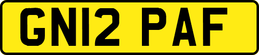 GN12PAF