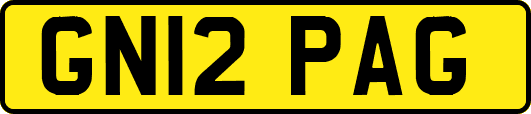 GN12PAG